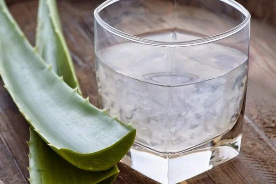 Как сохранить сок алоэ. Алоэ барбаденсис Миллер. Алоэ гарипензис. Aloe Vera Juice. Алоэ сок 50мл.