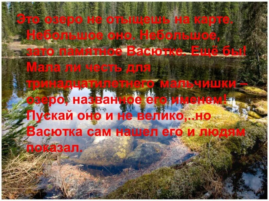 Найдя озеро васютка стал. Васюткино озеро. Характеристика Васютки. Образ Васютки. Иллюстрация к рассказу Васюткино озеро.