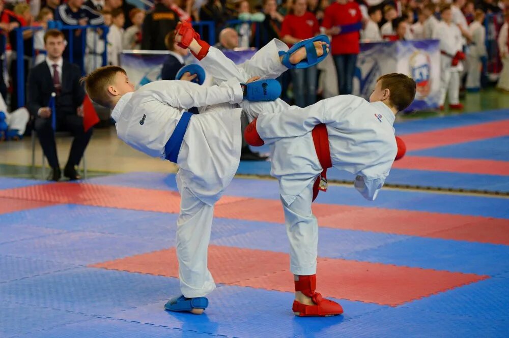 Спортивные школы карате. Каратэ WKF Россия. Кубок по каратэ WKF. Каратэ дети.