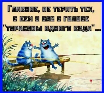 Друзья не главное