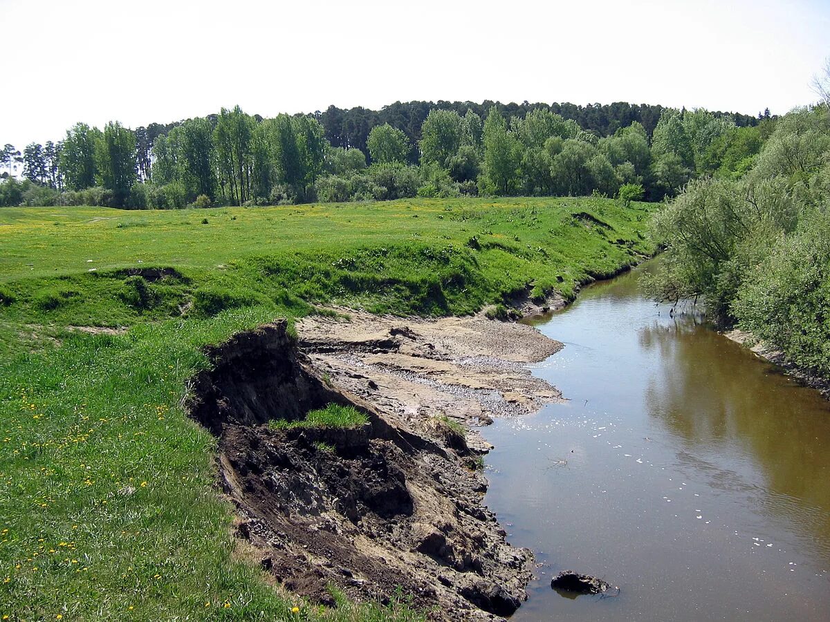 Приток реки тобол. Река УК Заводоуковский район. УК (приток Тобола). Заводоуковск Тобол. Город Заводоуковск река УК.