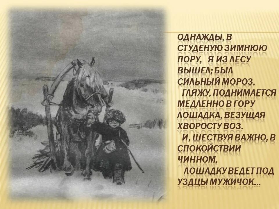 Стих крестьянские дети Некрасов однажды в студеную зимнюю пору. Некрасов отрывок однажды в студеную зимнюю пору. Некрасов однажды в студеную зимнюю пору стихотворение. Однажды я вышел был сильный мороз