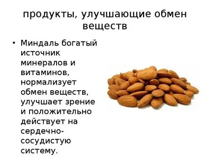 Какие продукты обмена