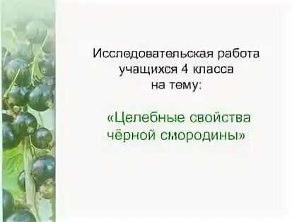 Исследовательский проект 4 класс примеры