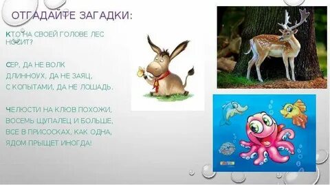 Кто на голове лес носит