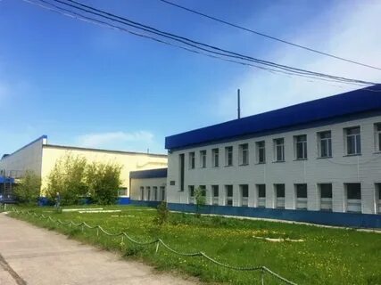 Коченево нсо