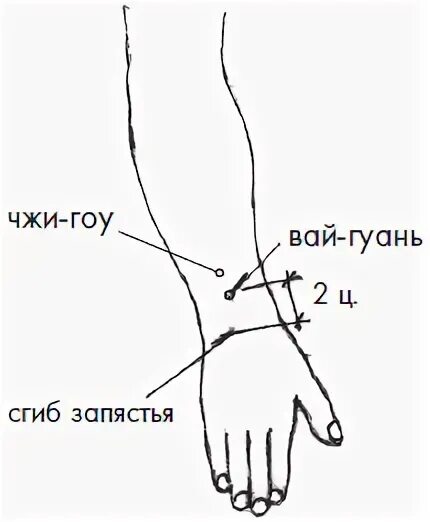 Tr6 точка акупунктуры Джи гоу. Точка tr5 вай-Гуань. Вай Гуань расположение. Точка вай-Гуань расположение. Гоу джи