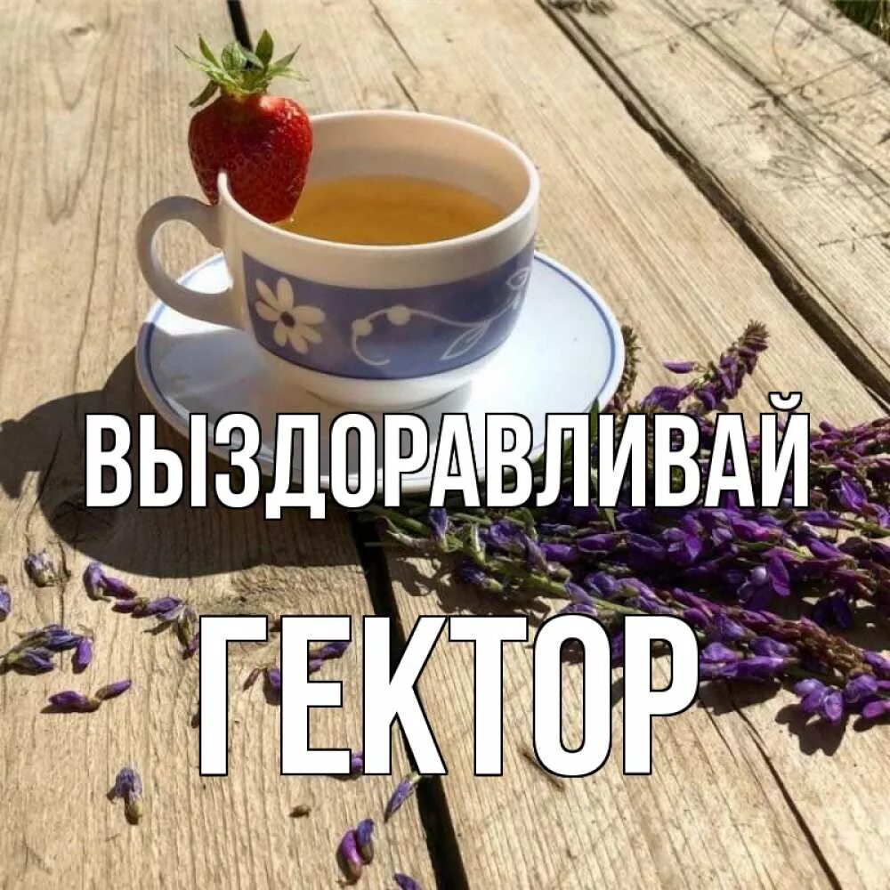 Выздороветь предложения. Скорейшего выздоровления братишка. Выздоравливай картинки. Пожелание выздоровления брату. Выздоравливай брат.