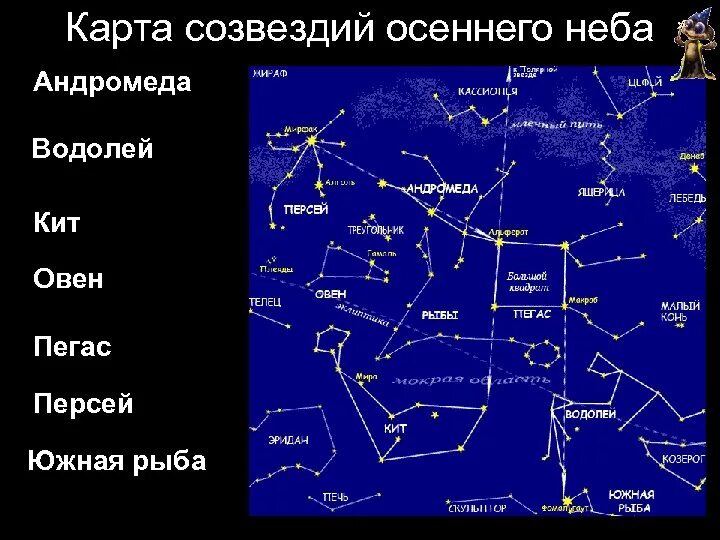 Созвездие Персея и Андромеды. Карта звездного неба Персей Андромеда. Созвездие Водолей на карте звездного неба. Карта созвездий осеннего неба. Какая звезда относится к какому созвездию