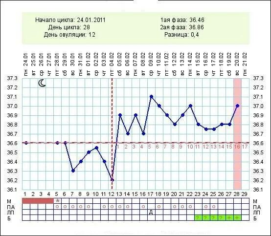 Западение базальной температуры. Базальная температура при наступлении беременности. График базальной температуры при наступлении беременности. График БТ С ранней овуляцией и беременный. После овуляция температура 37