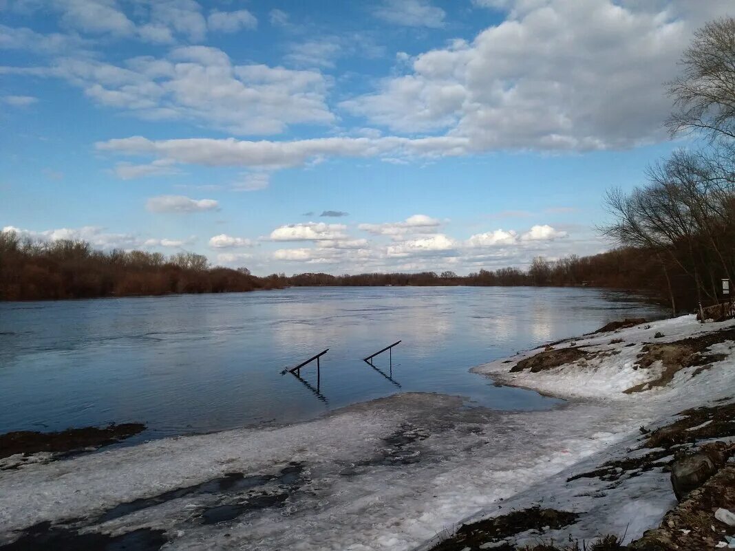 паводок в рязани на оке. река ока вышла из берегов. гидропост рязань. уровень воды в оке коломна сегодня гидропост. разлив рязань 2022.