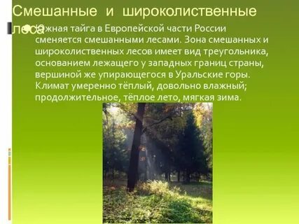 Лесные климатические зоны