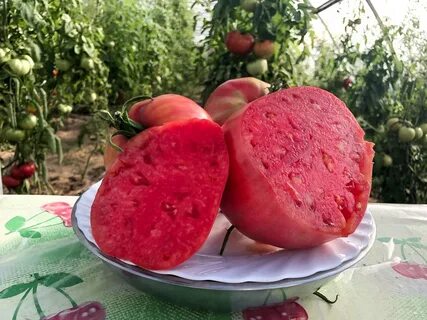 Самые вкусные сладкие томаты