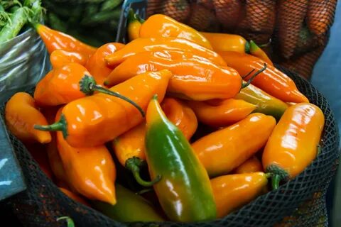 World pepper