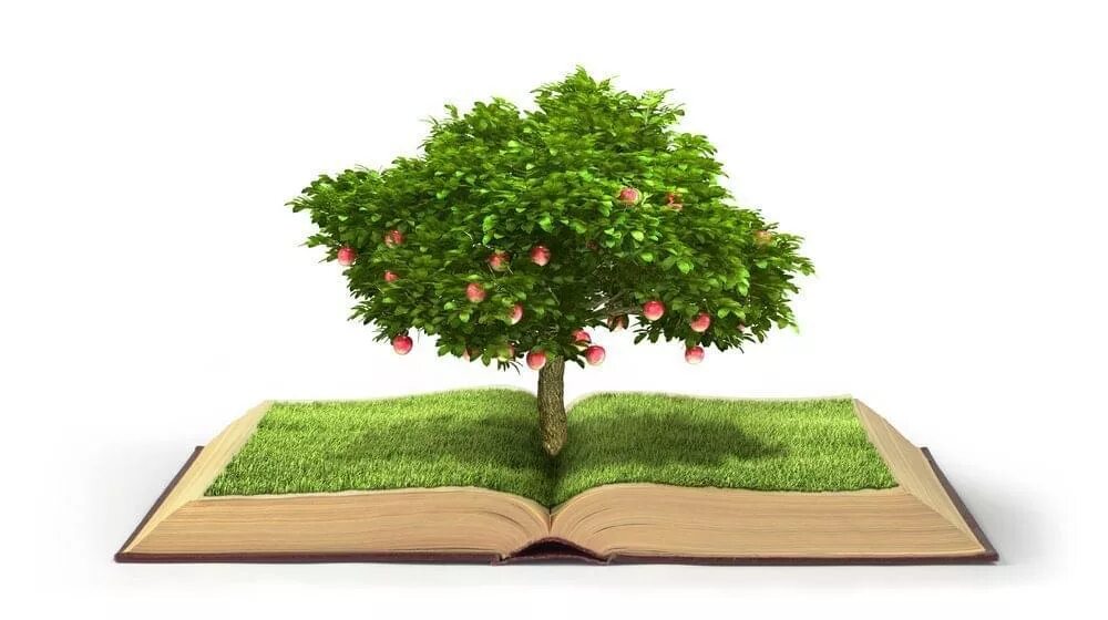 Branch of knowledge