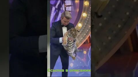 Неголубой огонек рен тв 2024