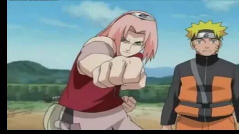 S sakura