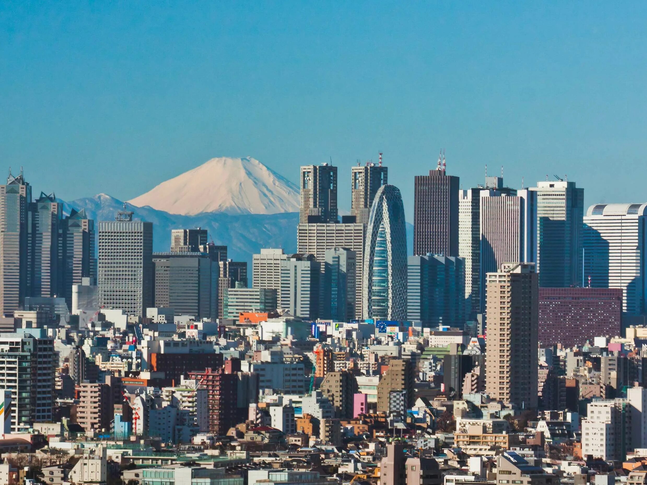 Где находится самая населенная. Токио столица Японии. Префектура Токио. Префектура Токио небоскребы. Синдзюку небоскребы.