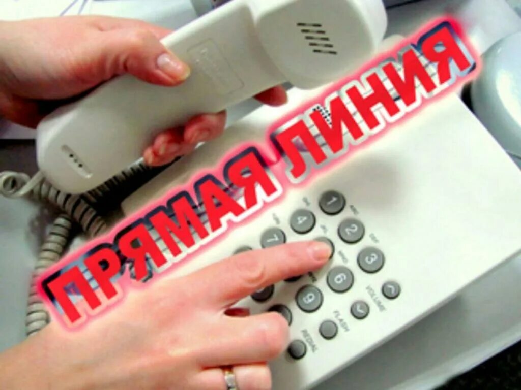 Телефон горячей линии приемной губернатора. Прямая линия. прямая телефонная линия. внимание прямая телефонная линия. горячая линия для избирателей.