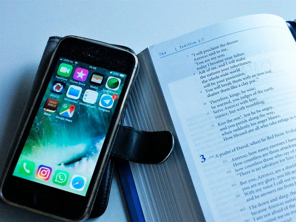 Кн тел. Кн тел. Книга про организм человека. Тело человека. Книга о занимательная анатомии человека.