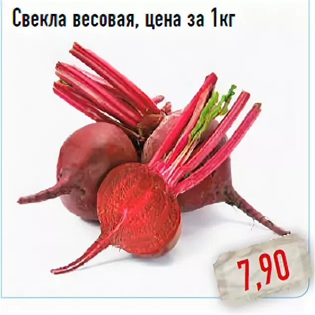 Свекла 1 кг. Свекла за 1 кг. Свекла за кг сколько стоит. Свекла магнит. Свекла кг купить