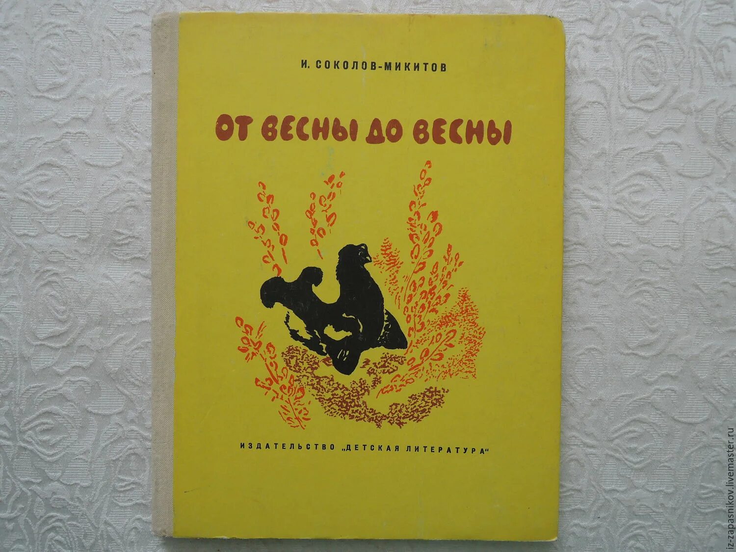 Автор рассказа весной. Автор рассказа весной. Весне навстречу книга. Книги о весне для детей. Автор рассказа весной.