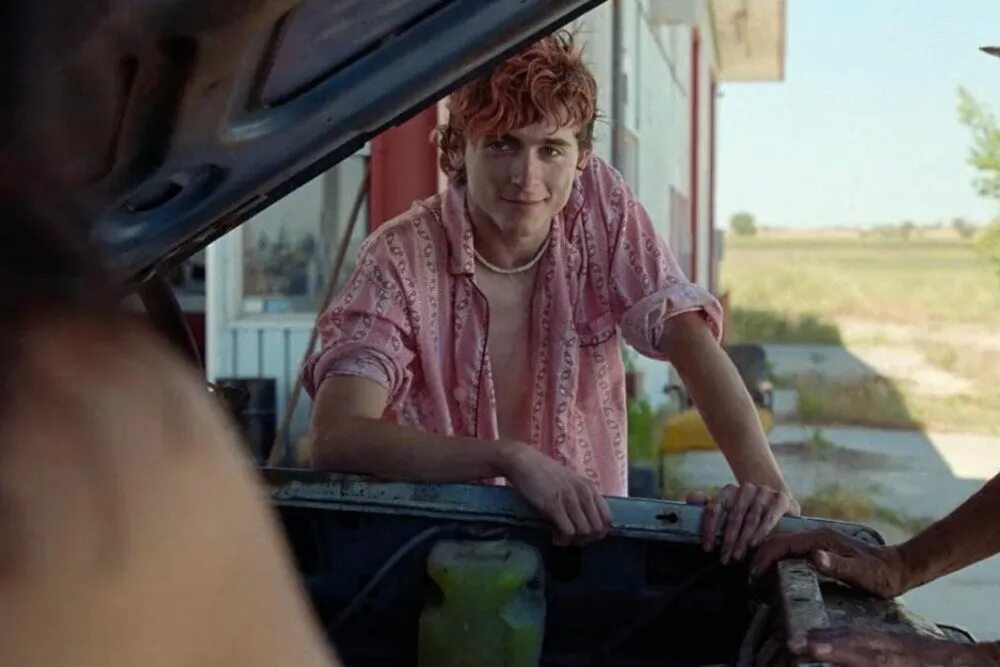 Тимоти шаламе 2022. Bones and all. Bones & all трейлер. Bones and all фильм. Bones and all türkçe altyazili.