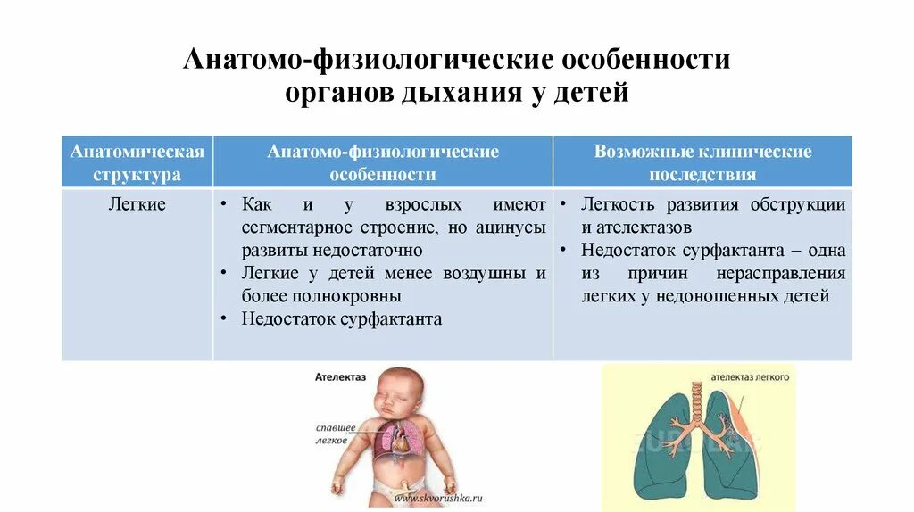 Анатомо функциональные изменения