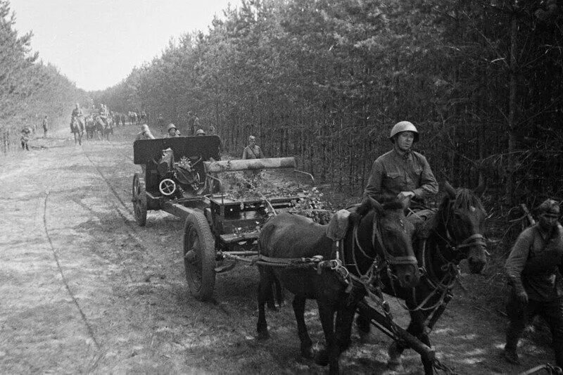 Телега с лошадью в деревне. Телега с лошадью в деревне. Движение гужевых повозок. Телега с лошадью. Гужевые повозки на дороге.