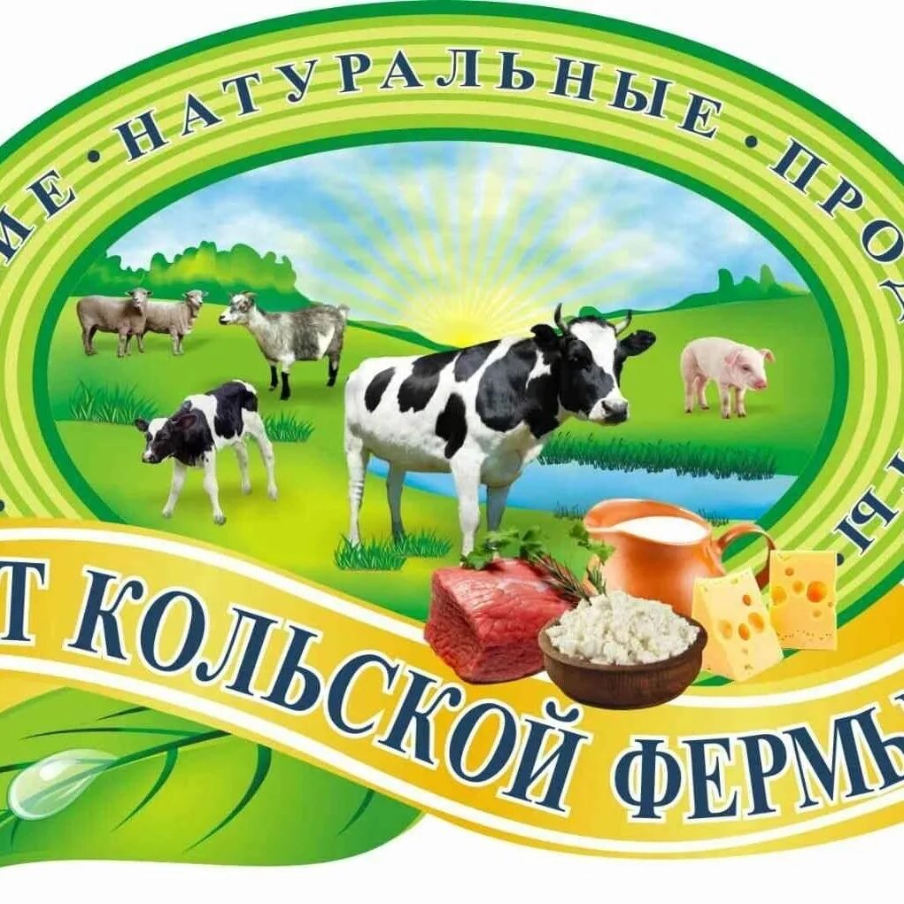 Молоко и молочные фермы. Фон для молочной продукции. Реклама фермы. Фон для презентации сельское хозяйство. Корова на природе.