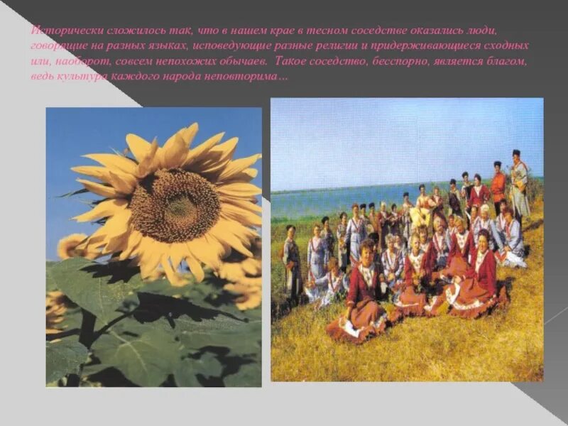 Почему кубань так называется. Кубань многонациональный край. кубань многонациональный край презентация. кубань многонациональный край картинки. рисунок на тему кубань многонациональный край.