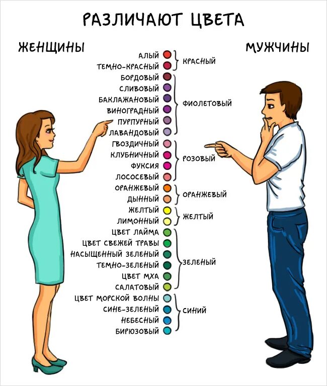 Физическая причина различия цветов. Цвета мужчины и женщины. Kak mujchini i jenshini razlichayut Cveta. Мужчина и женщина различают цвета. Восприятие цветов мужчинами и женщинами.