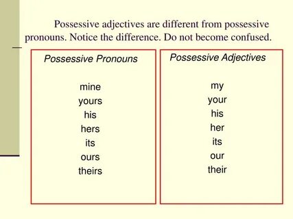 Example possessive