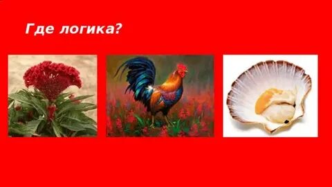 Откуда лишний