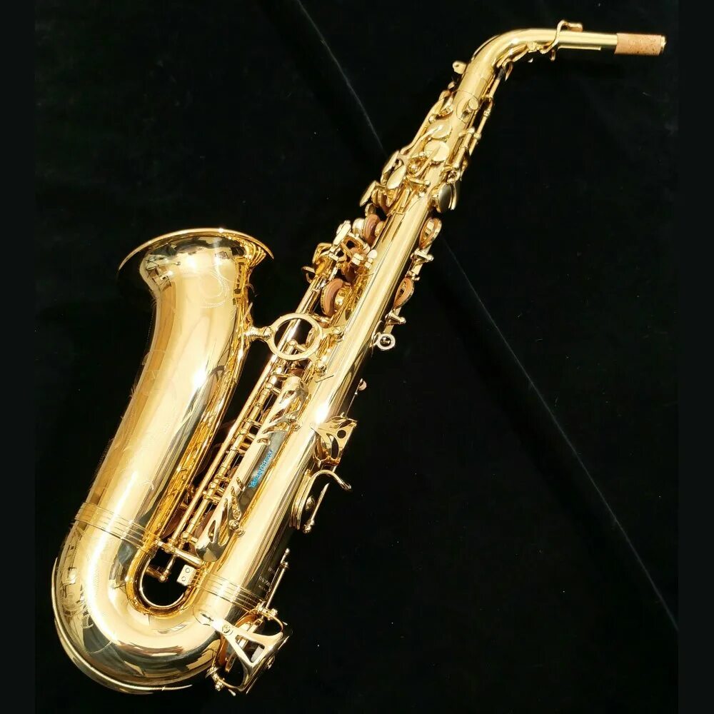 Alto saxophone. Yanagisawa Alto wo10. Саксофон Альт Янагисава wo10 Эска. Саксофон Альт a-wo10. Yanagisawa a-wo35 Elite Alto Saxophone.