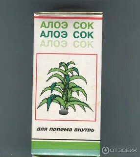 Алоэ для приема внутрь отзывы