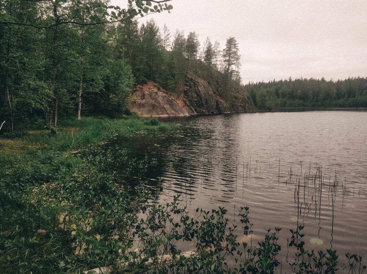 Ламба (озеро в Петрозаводске). Озеро Белоелампи Карелия. Озеро Лососинное Карелия. Чумба озеро Карелия.