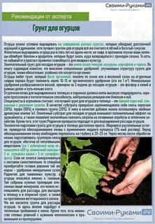 Какие удобрения вносить огурцам