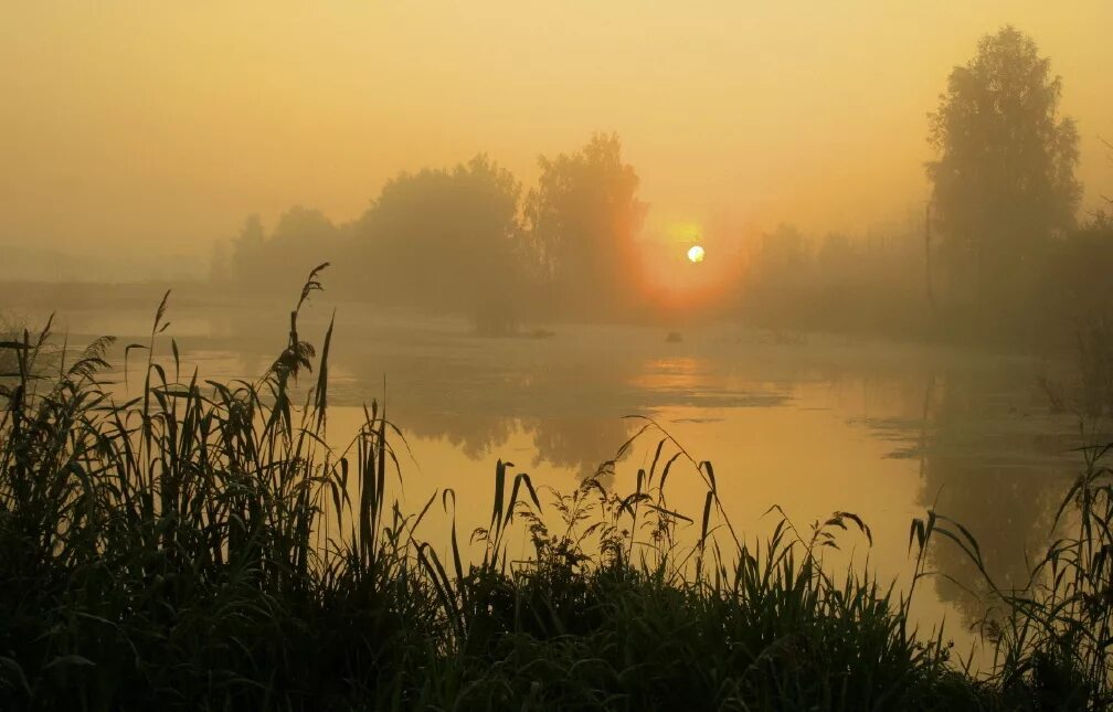 Ранним утром уходили. Раннее утро. Туманный рассвет на озере. Утренний туман над озером. Туманный рассвет над озером.