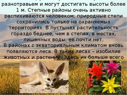 Распространение организмов на земле 6 класс география