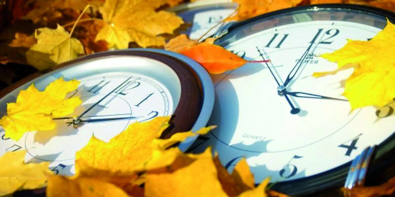 Часы осень. Перевод часов на зимнее время. Зимнее время на час вперед или назад. Когда переводят часы на зимнее время в Украине.