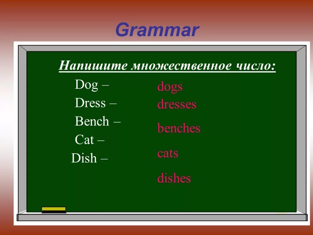 Множественное число слова dog. Dress множественное число. Bench множественное число. Dress во множественном числе на английском. A Dress во множественном