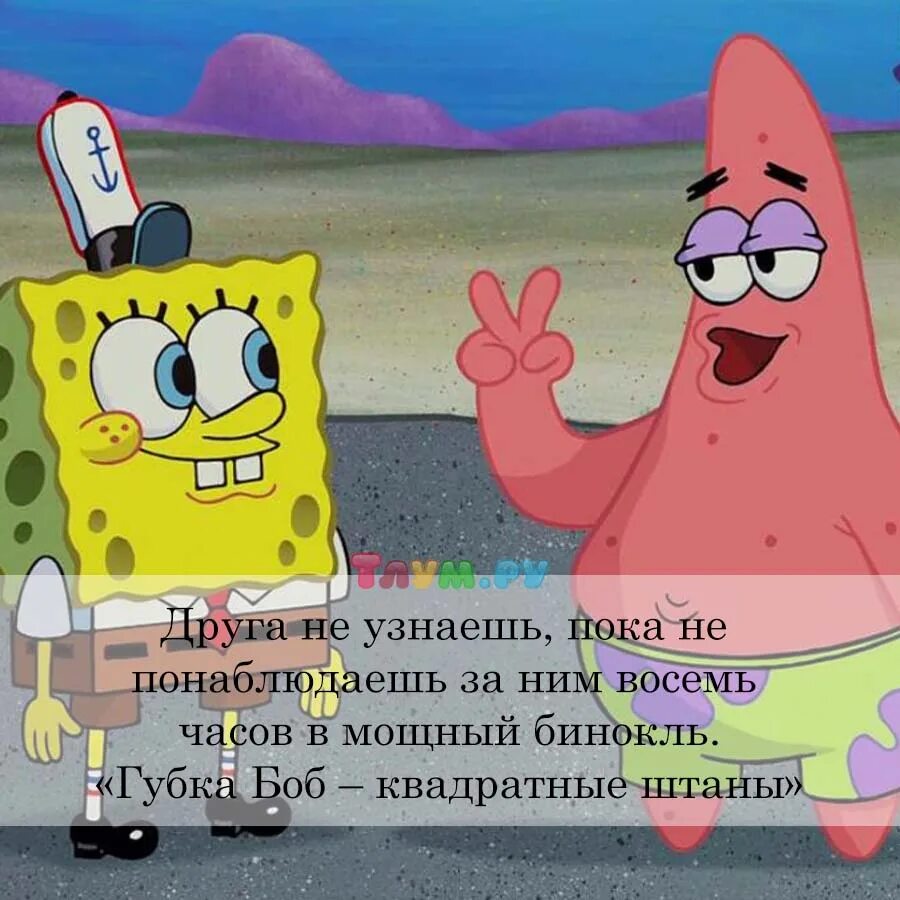 Губка Боб квадратные штаны (персонаж). Губка Боб квадратные штаны 2х2. Губка Боб квадратные штаны фото. Губка Боб квадратные штаны ТНТ 2003.