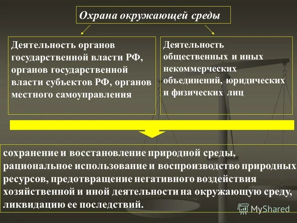 Экологическое право представляет собой. Эссе на тему экологическое право. Субъекты РФ могут иметь экологич законодательства.