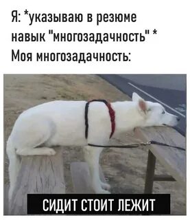 Я на мир взираю из под столика