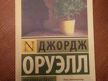 Да здравствует фикус