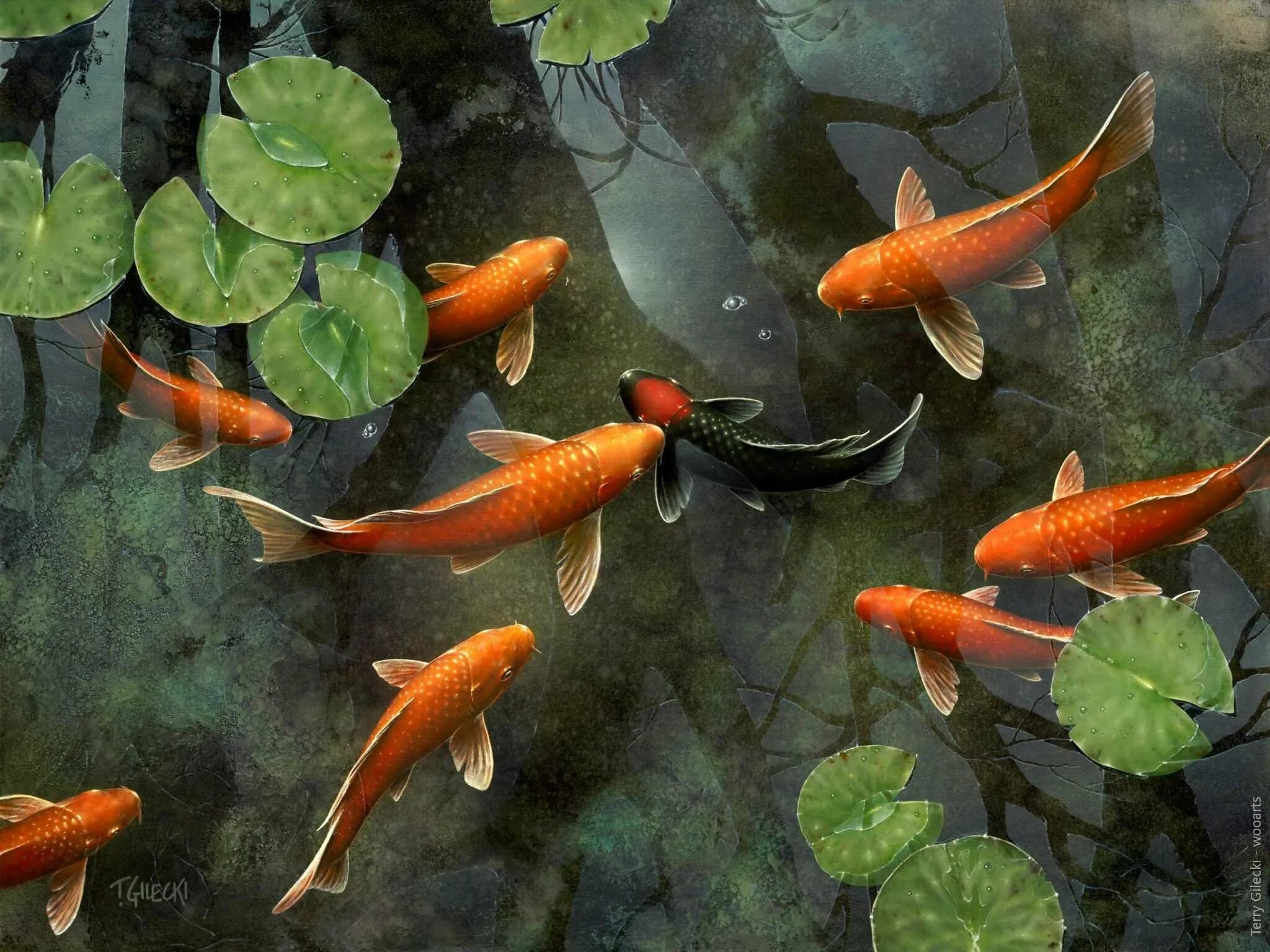 Рыба в 9 месяцев. Какую рыбу можно давать ребенку в год. Рыбный прикорм для детей до года. Таблица активности клёва рыбы. Карточки рыбы для детей.