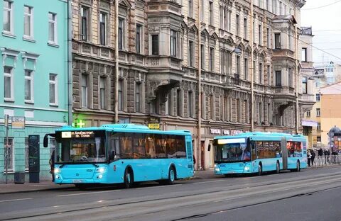 66 автобус спб