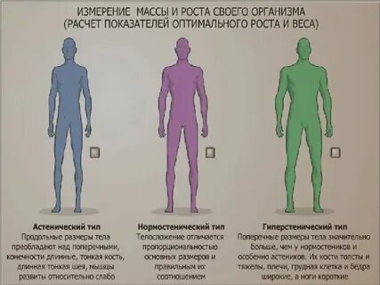 Объясните почему организм считают основным носителем жизни