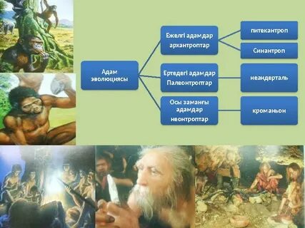 Транс гейдің өз мүшесін соратын порно видеосы